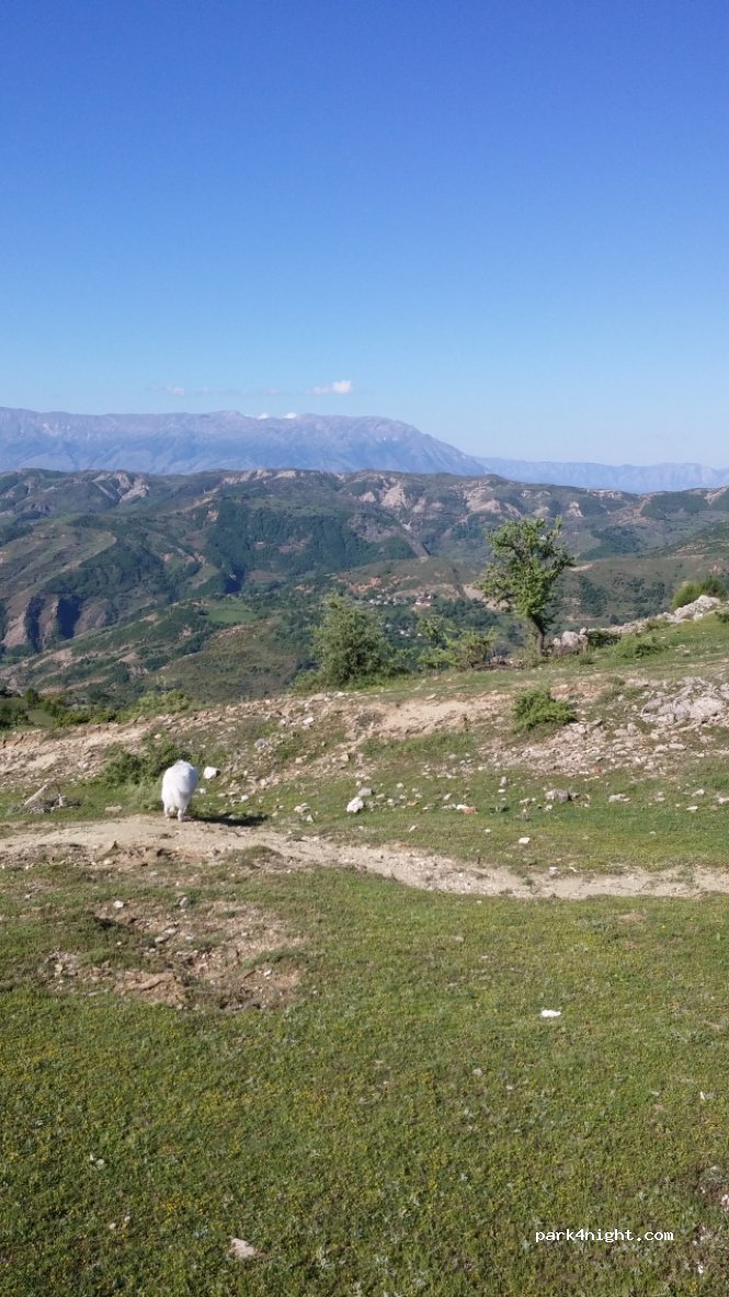 () Gllavë - Unnamed Road — foto 3