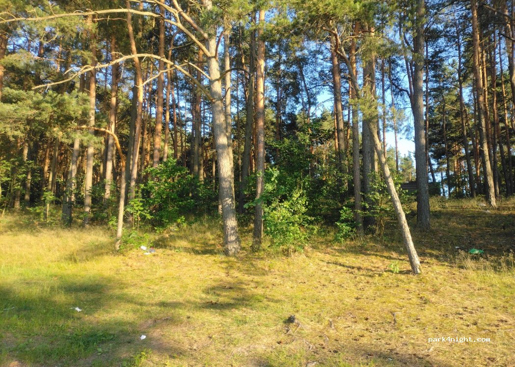 (86-008) Koronowo - 34 Pieczyska — foto 3