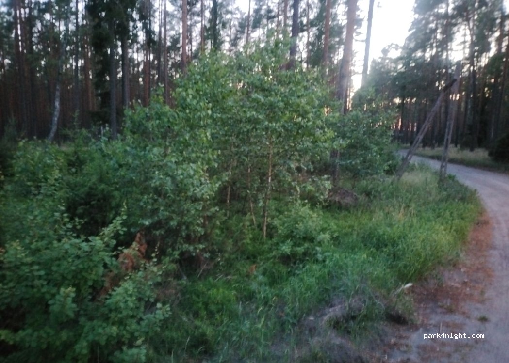 (89) Okoniny - Unnamed road — foto