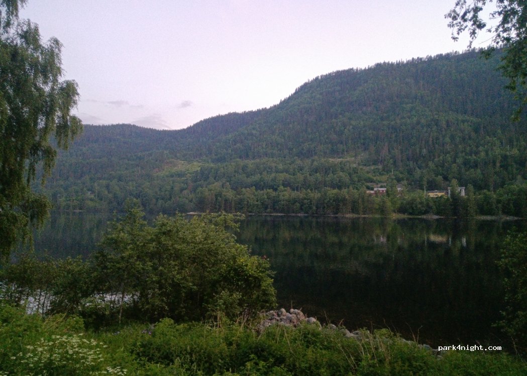 (3629) Rødberg - 1 Primær Fylkesveg 40 — foto 2