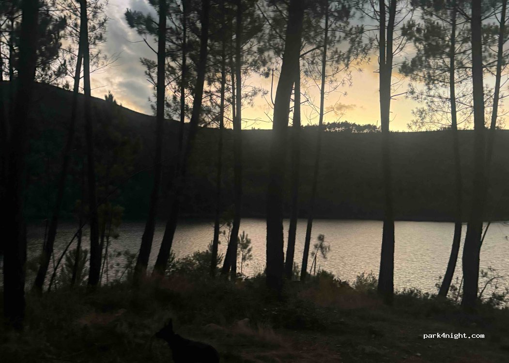 (5470) Pondras - — foto 4