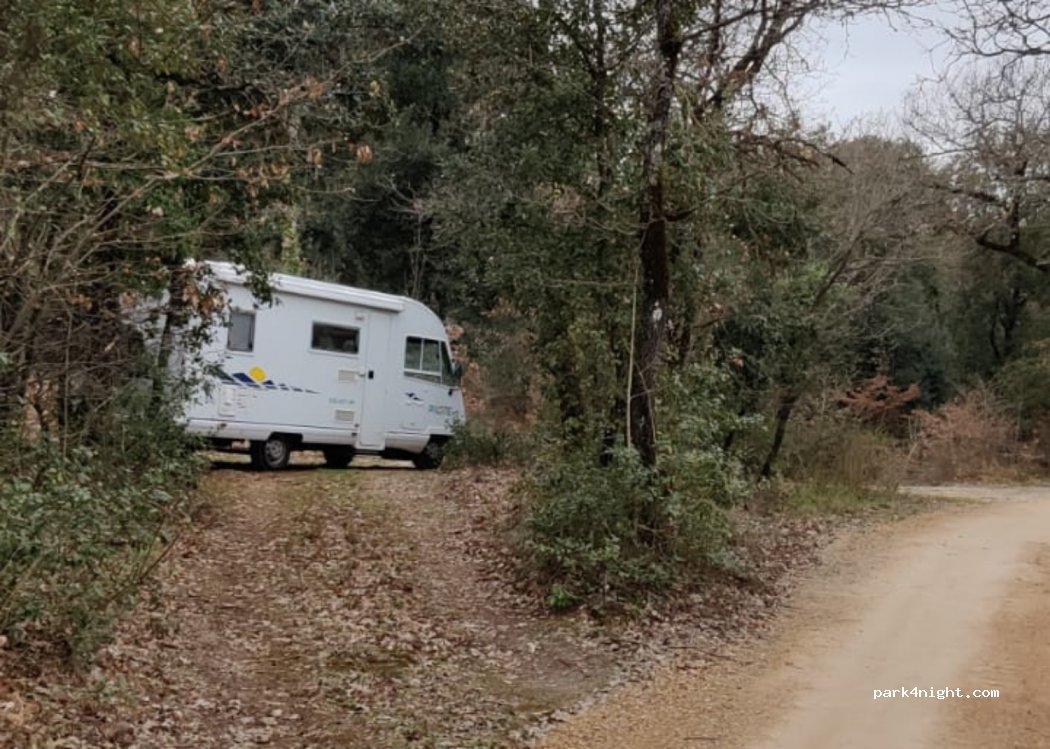 (53035) Monteriggioni - Strada dell'Uccellatoio — foto 2