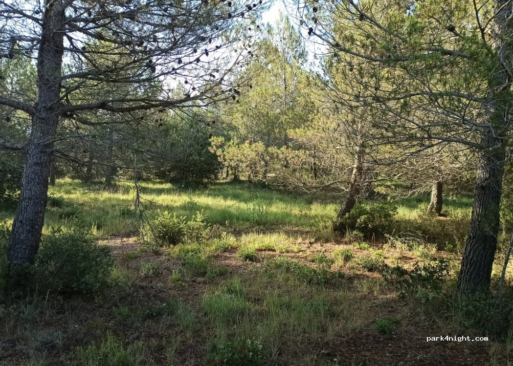 (13810) Eygalières - D25 — foto 2