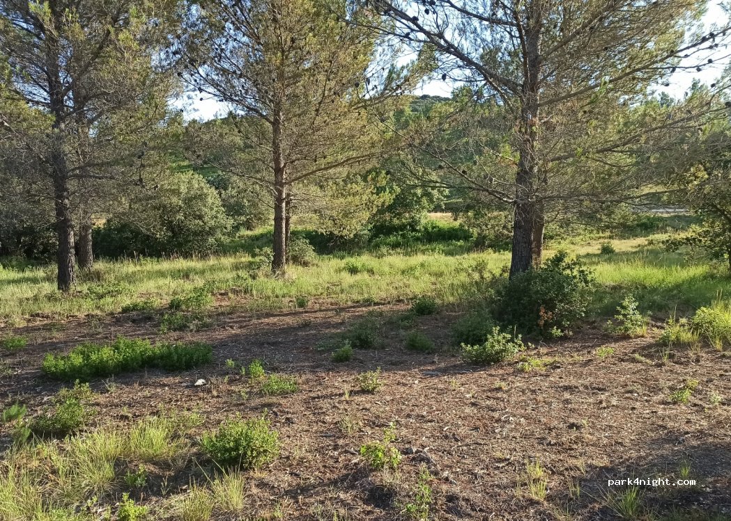 (13810) Eygalières - D25 — foto 3