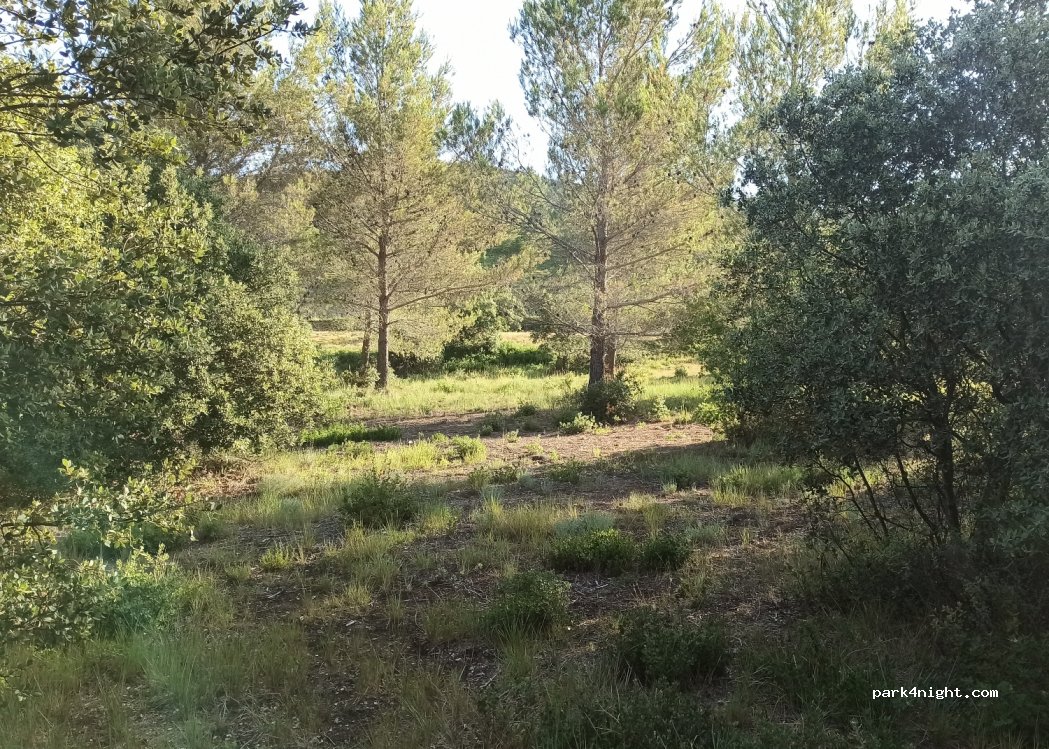(13810) Eygalières - D25 — foto 4