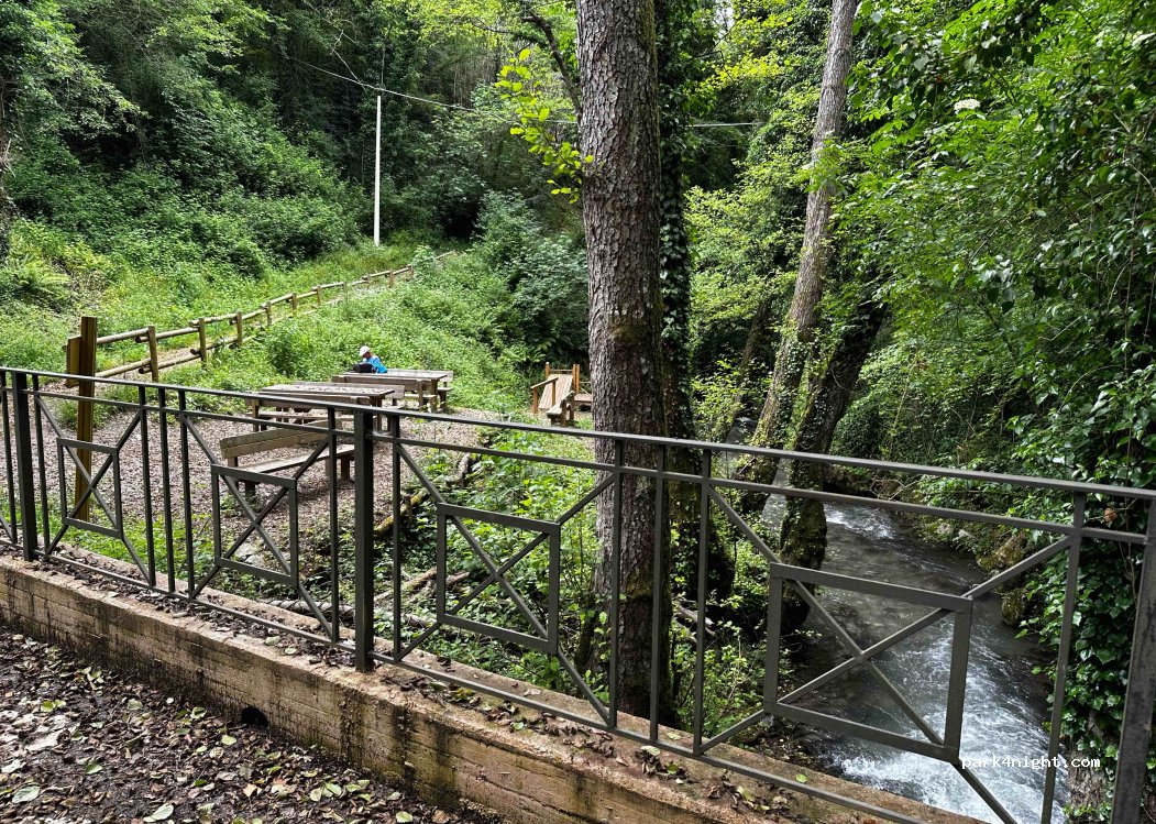 Farm the Squirrel Pollino — foto 2