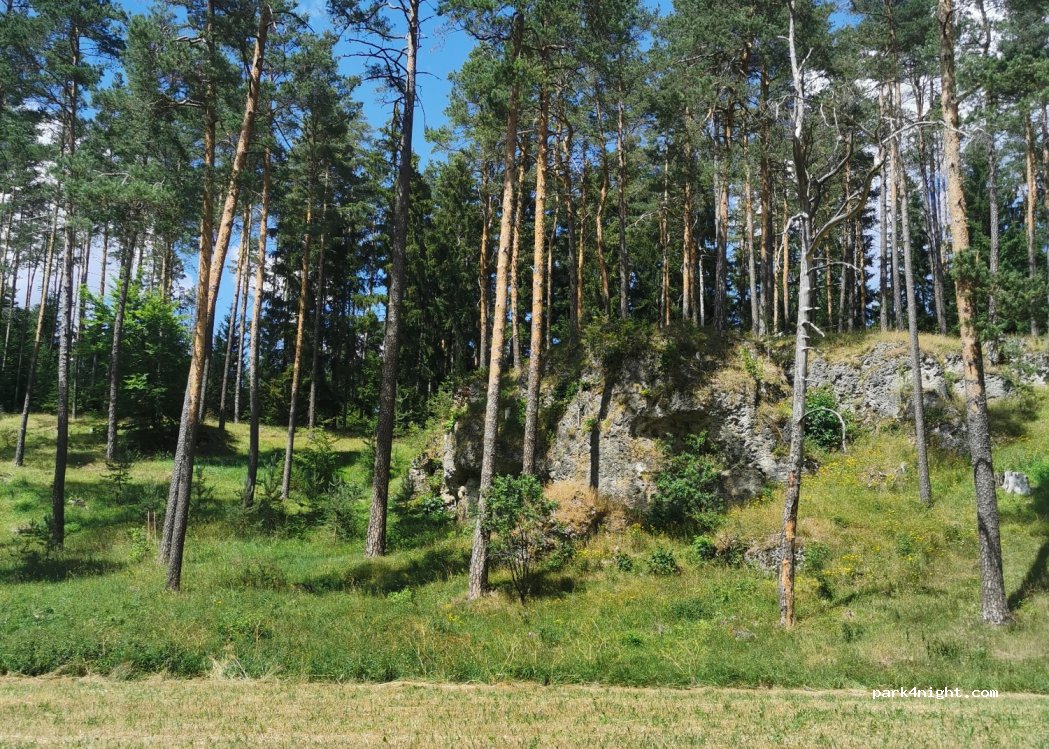 (91278) Pottenstein - Weidenhüll bei Elbersberg — foto