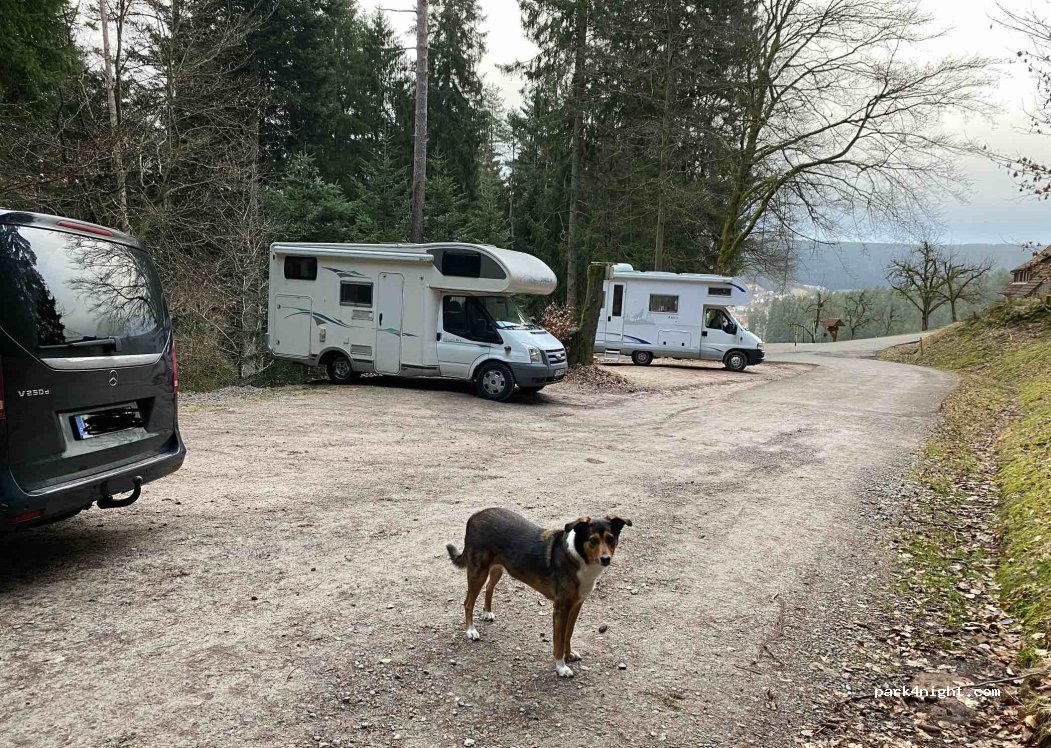 (72270) Baiersbronn - 84 Bergerweg — foto 4