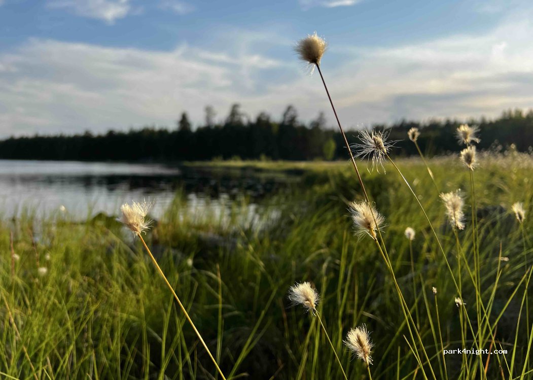 (691 94) Karlskoga - Unnamed Road — foto 4