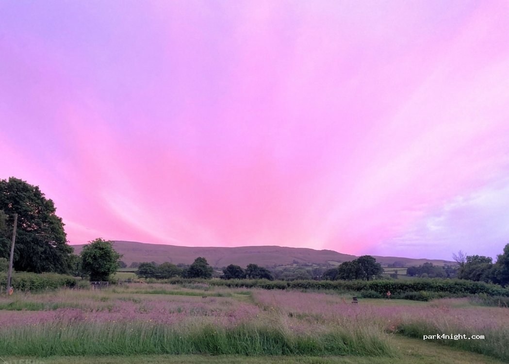 Cosmos Camping — foto