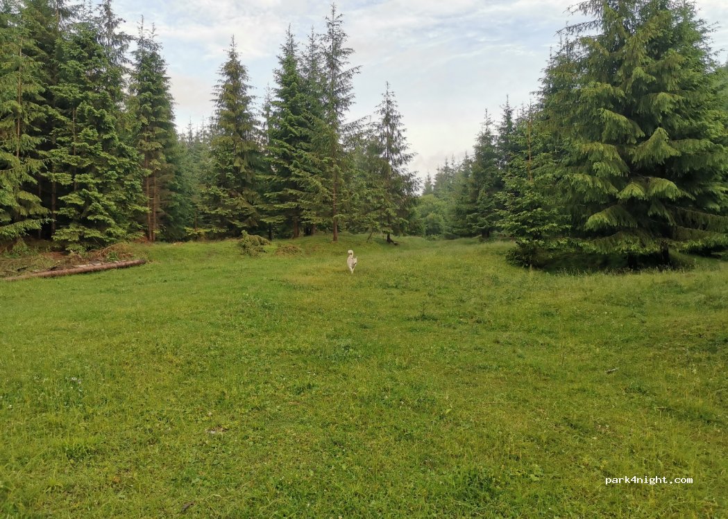 (537148) Puntea Lupului - 127A — foto