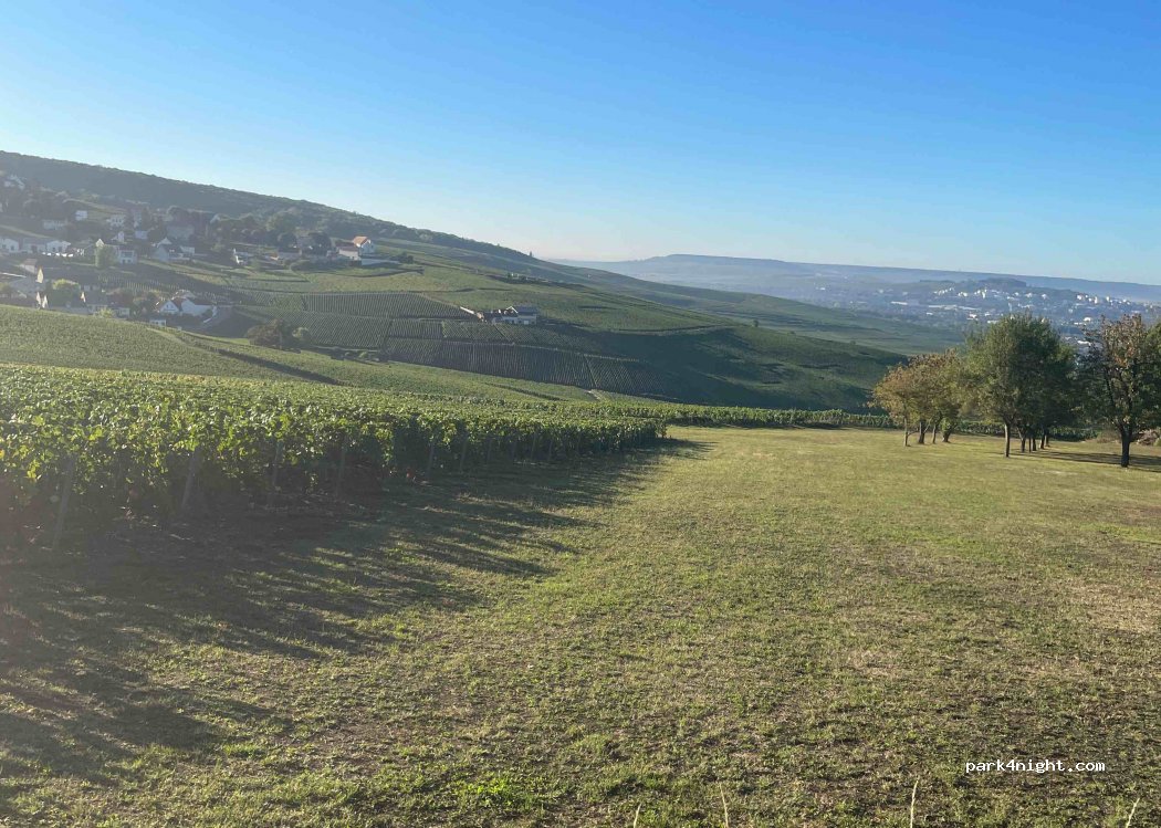 (51160) Champillon - Chem. Neuf Republique — foto