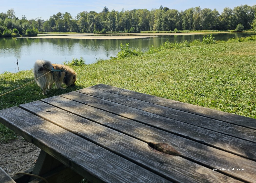 (25870) Geneuille - Chemin des Prés Secs — foto 3