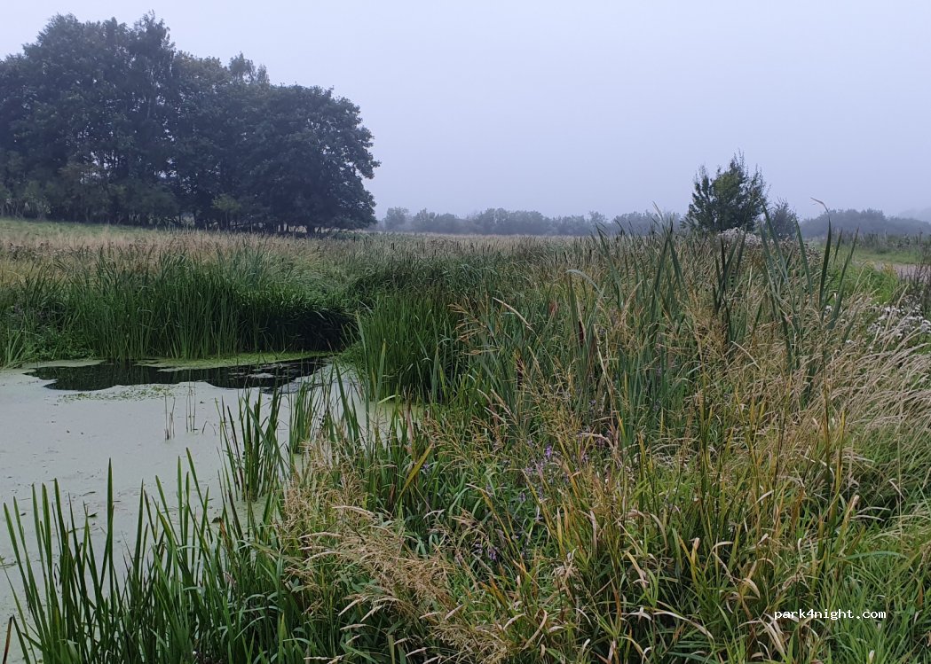 (4100) Ringsted - 39 Havemøllevej — foto 3