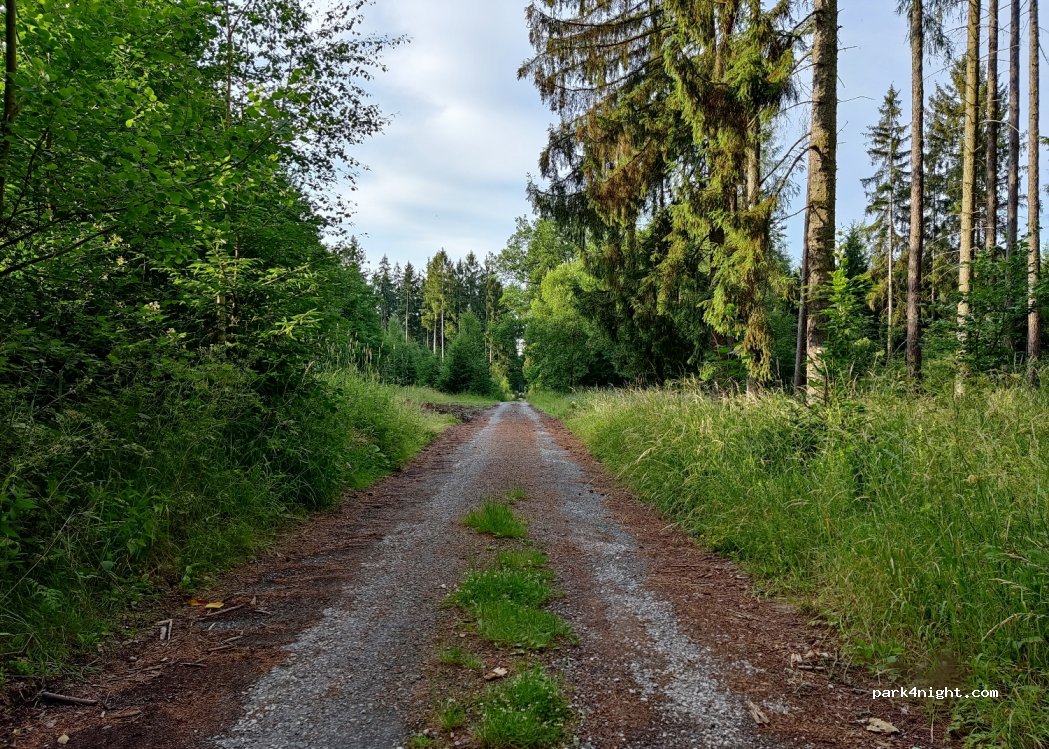 (270 23) Pustověty - Unnamed Road — foto 2