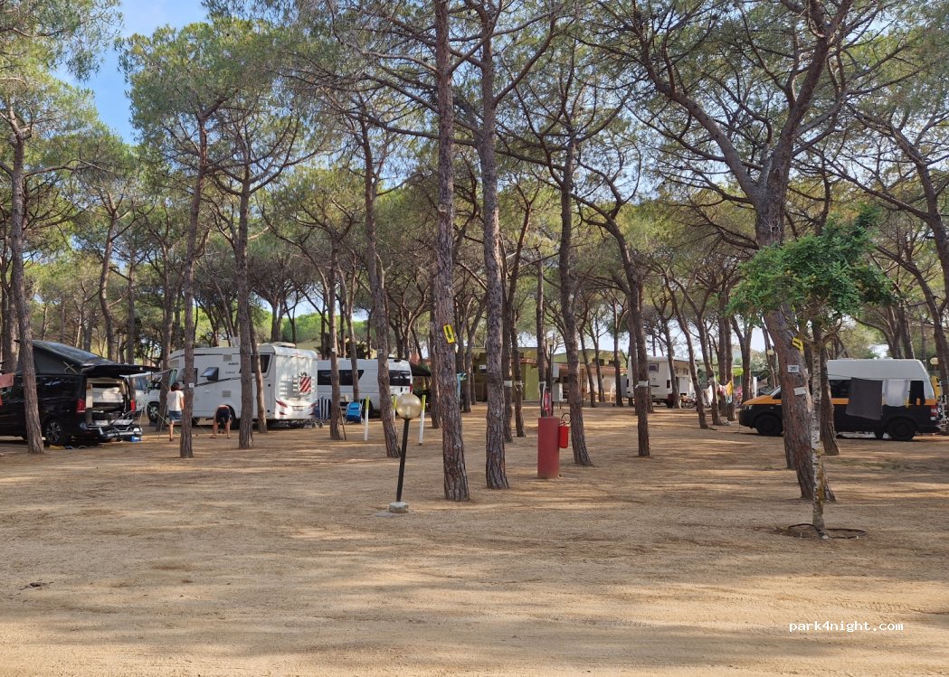 Spiaggia Del Riso — foto 2