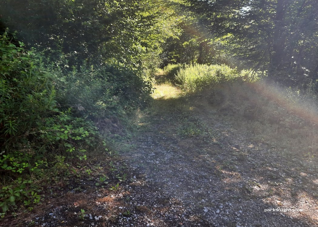 (67110) Niederbronn-les-Bains - Unnamed road — foto