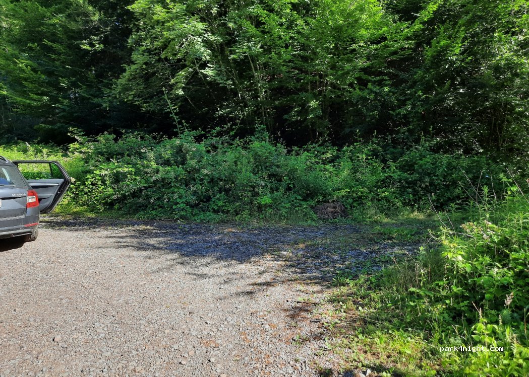 (67110) Niederbronn-les-Bains - Unnamed road — foto 2