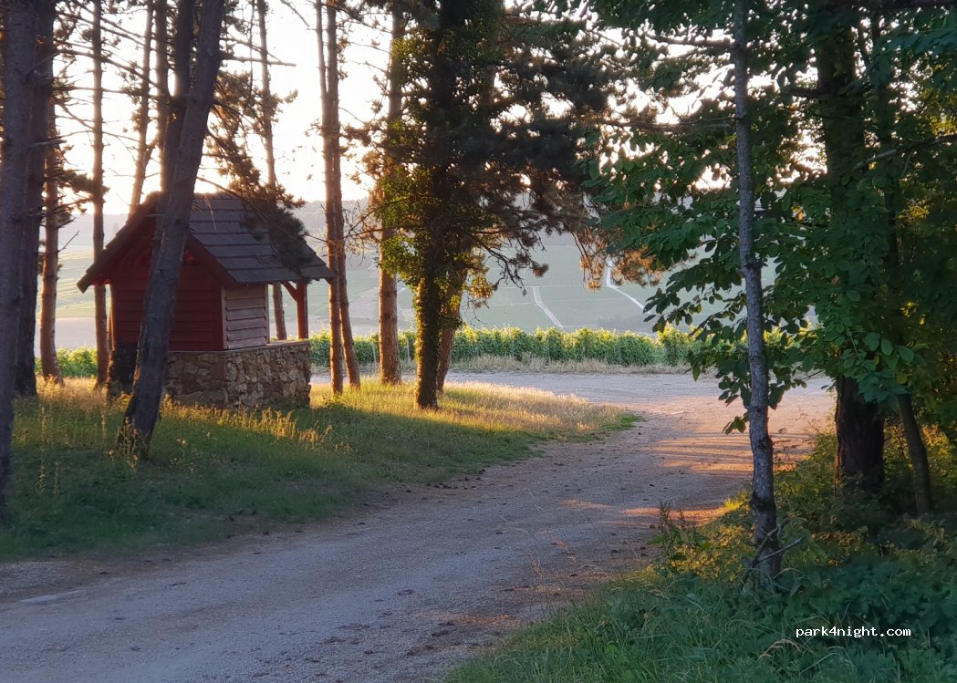 (51530) Monthelon - Unnamed Road — foto 2