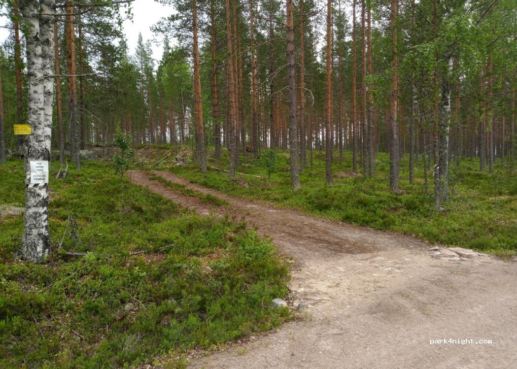 (780 69) Sörsjön - Fjärdtjärnsvägen — foto 2