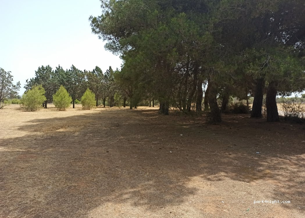 (73044) Villaggio Santa Rita - Viale Montagna Spaccata — foto 2