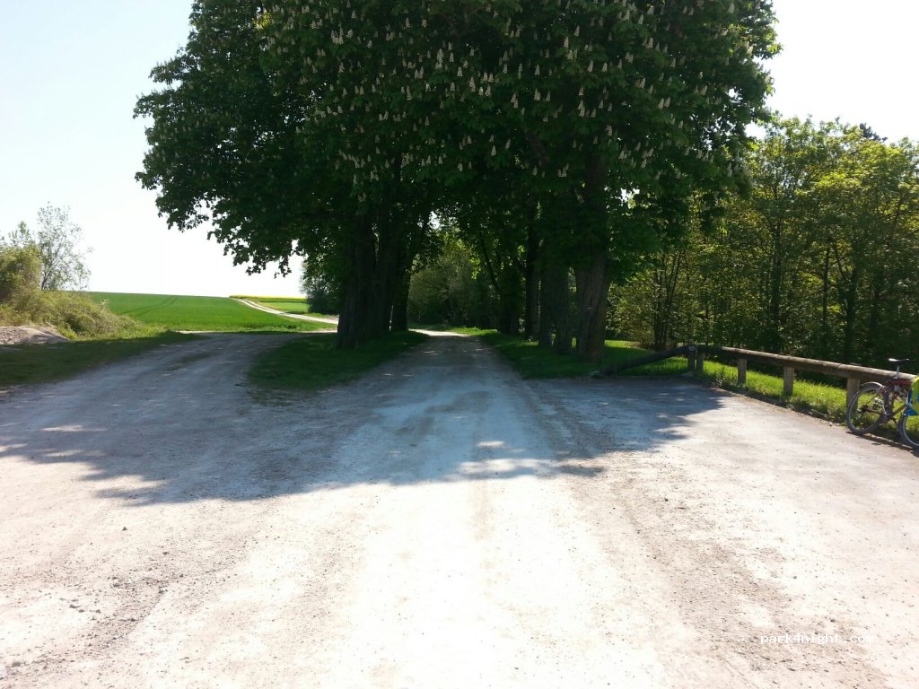 (51400) Billy-le-Grand - Le Canal — foto