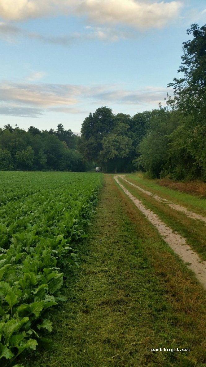 (51400) Billy-le-Grand - Le Canal — foto 2