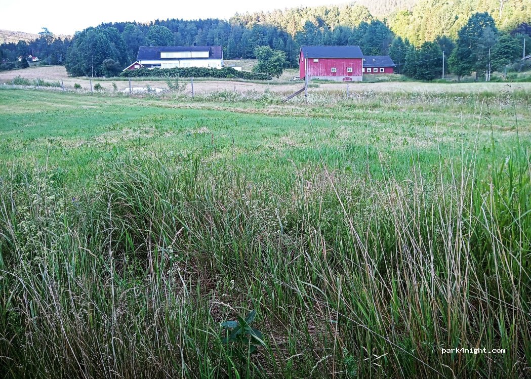 (4745) Lauvdal - 1 Nautedalsvegen — foto 3