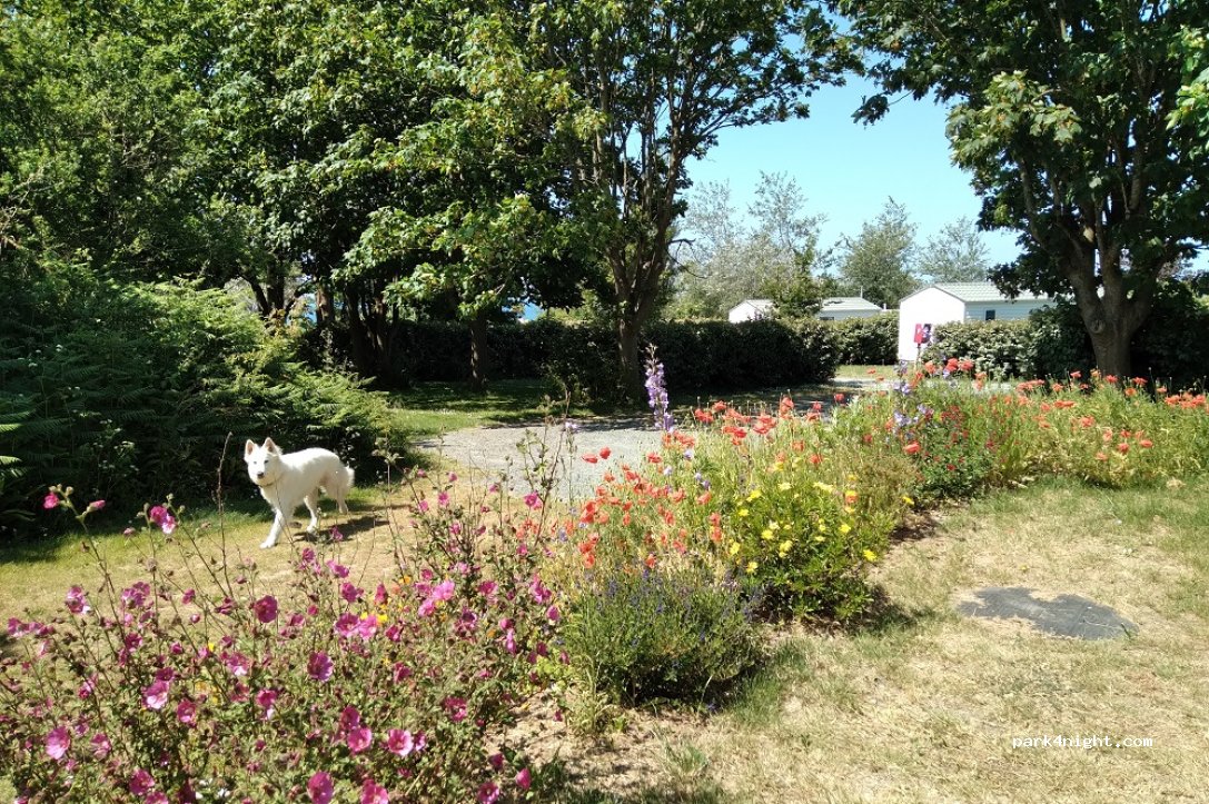 Camping Le Loup Blanc — foto 5