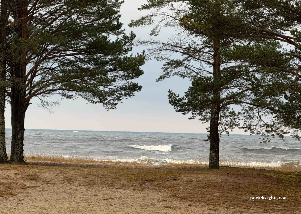 Salusands Camping och Havsbad — foto 5