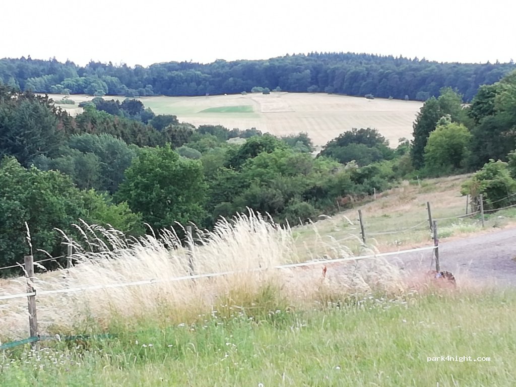 Bioferienhof Lorely & Wohnmobilstellplatz — foto 2