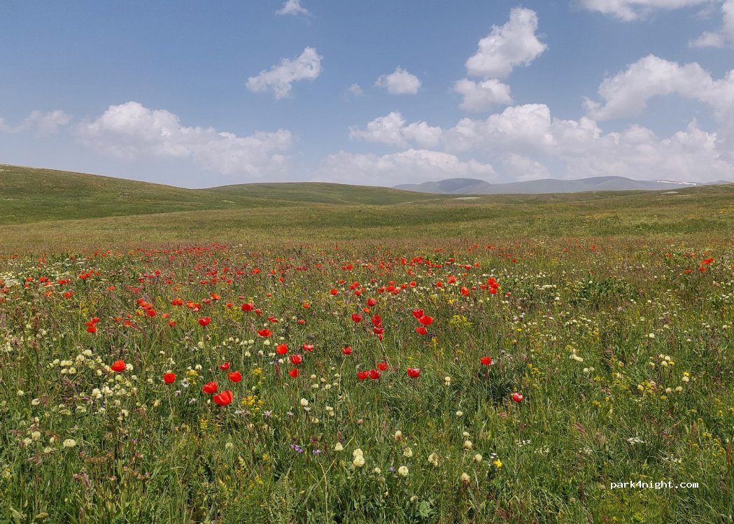 (3601) Nshkhark - Unnamed Road — foto 3