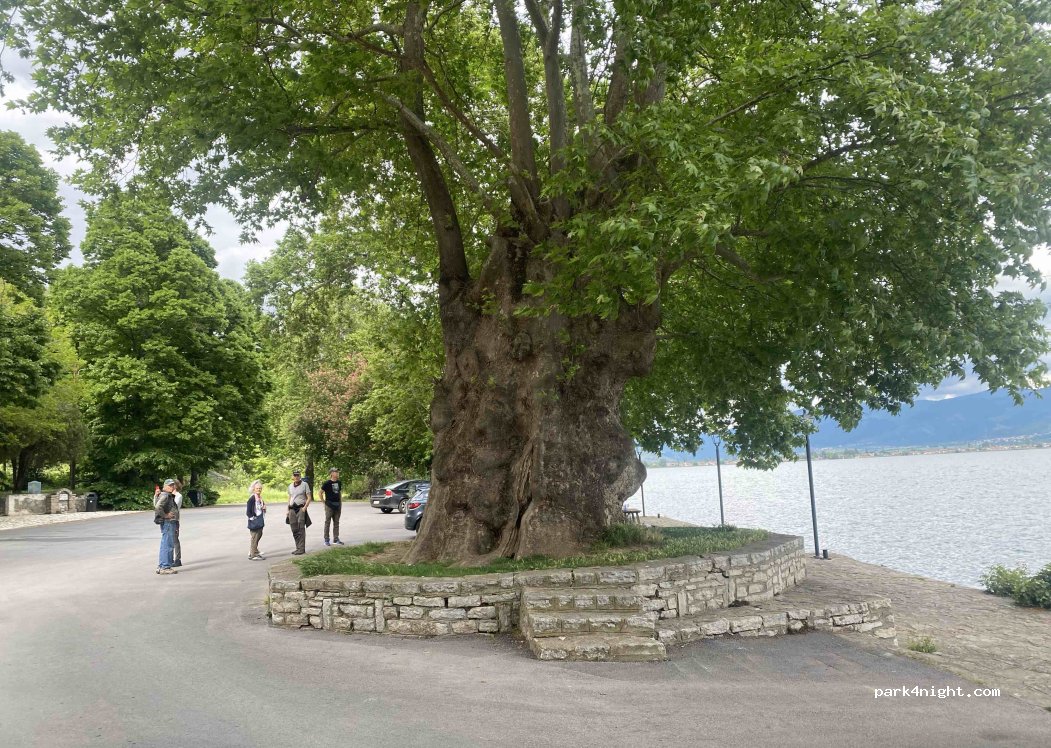 (521 00) Kastoria - 12 Leoforos Kiknon — foto 5