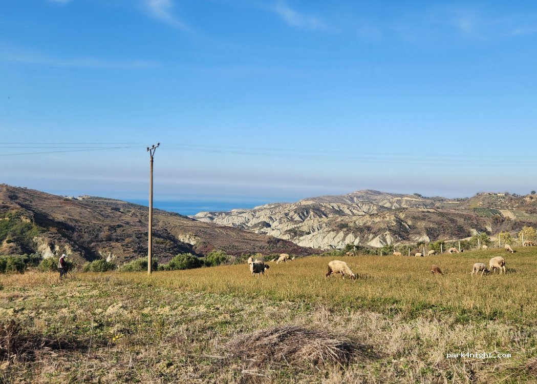 Scoturk Camping — foto