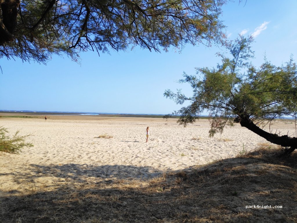 (33470) Gujan-Mestras - 9 Allée de l'Infante — foto 3
