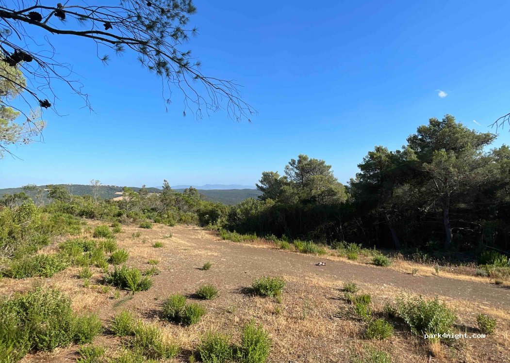 (58025) Monterotondo - — foto