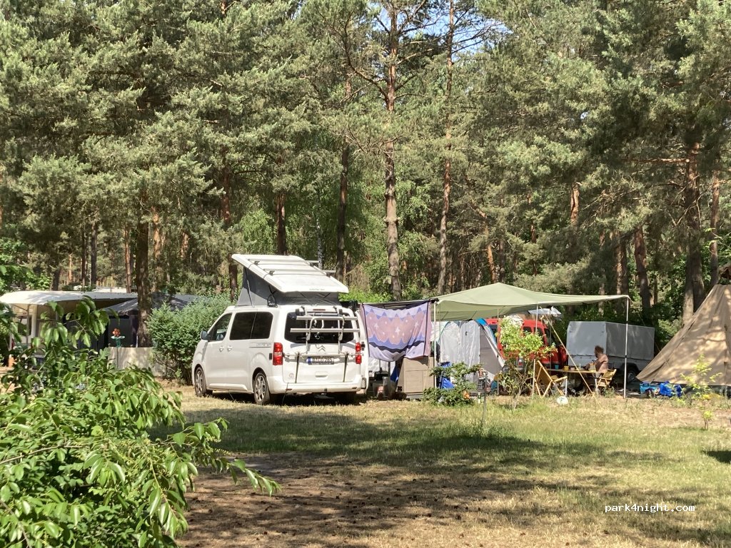 Wald- und Naturcampingplatz am Tonsee Süd — foto 2