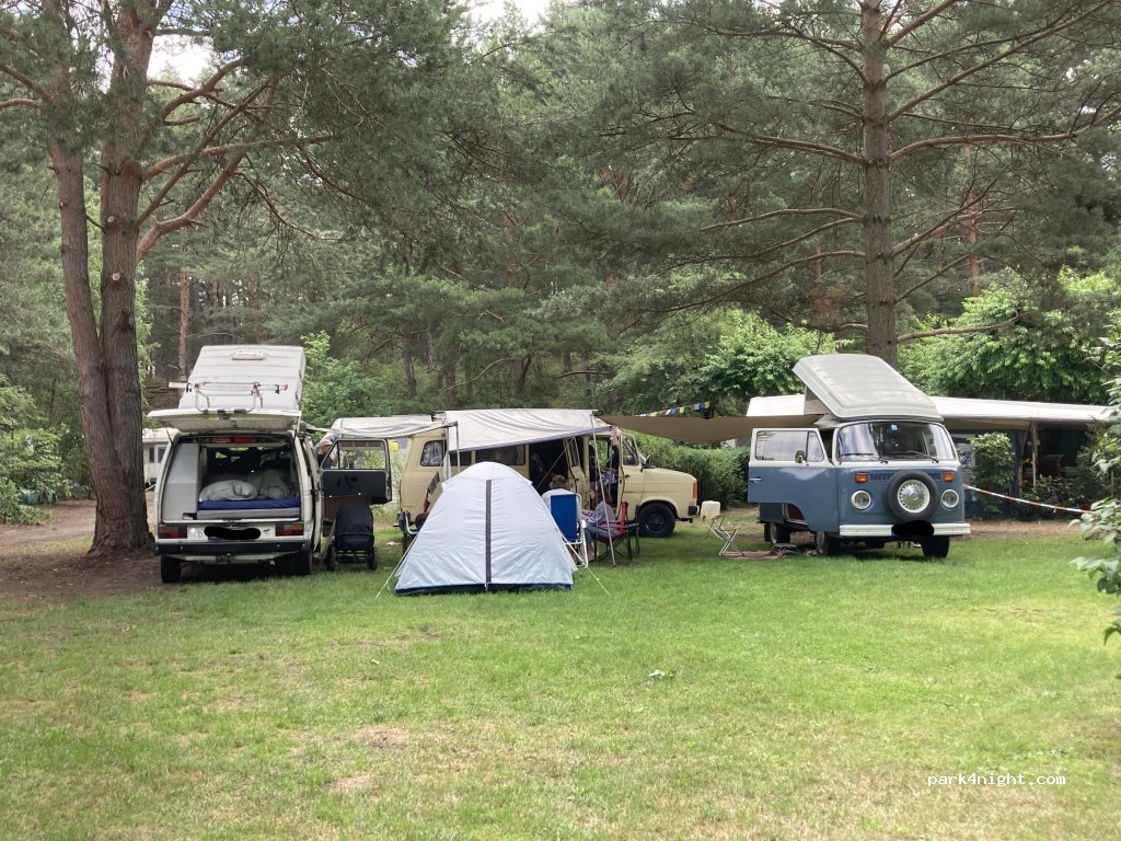 Wald- und Naturcampingplatz am Tonsee Süd — foto 3