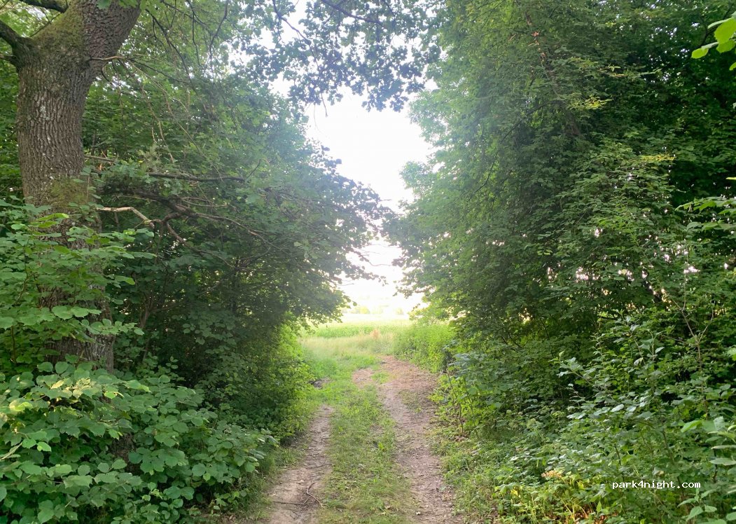 (81658) Hranky-Kuty - Unnamed road — foto