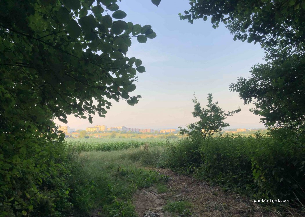 (81658) Hranky-Kuty - Unnamed road — foto 2