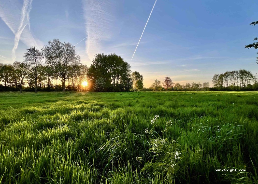 Camping, B&B de Plakken — foto 4