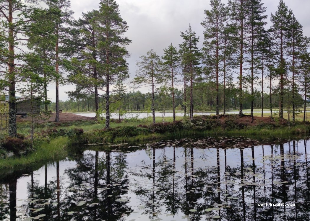 (683 91) Varmland - Unnamed road — foto