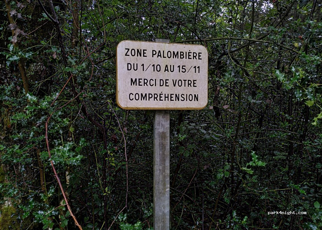 (64310) Saint-Pée-sur-Nivelle - Unnamed road — foto 2