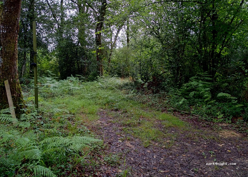 (64310) Saint-Pée-sur-Nivelle - Unnamed road — foto 3