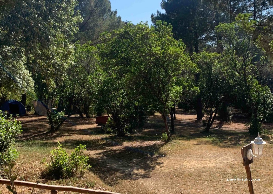 Camping de Truggia — foto 2