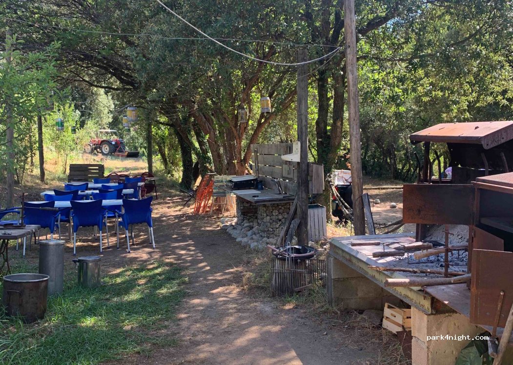 Camping de Truggia — foto 4