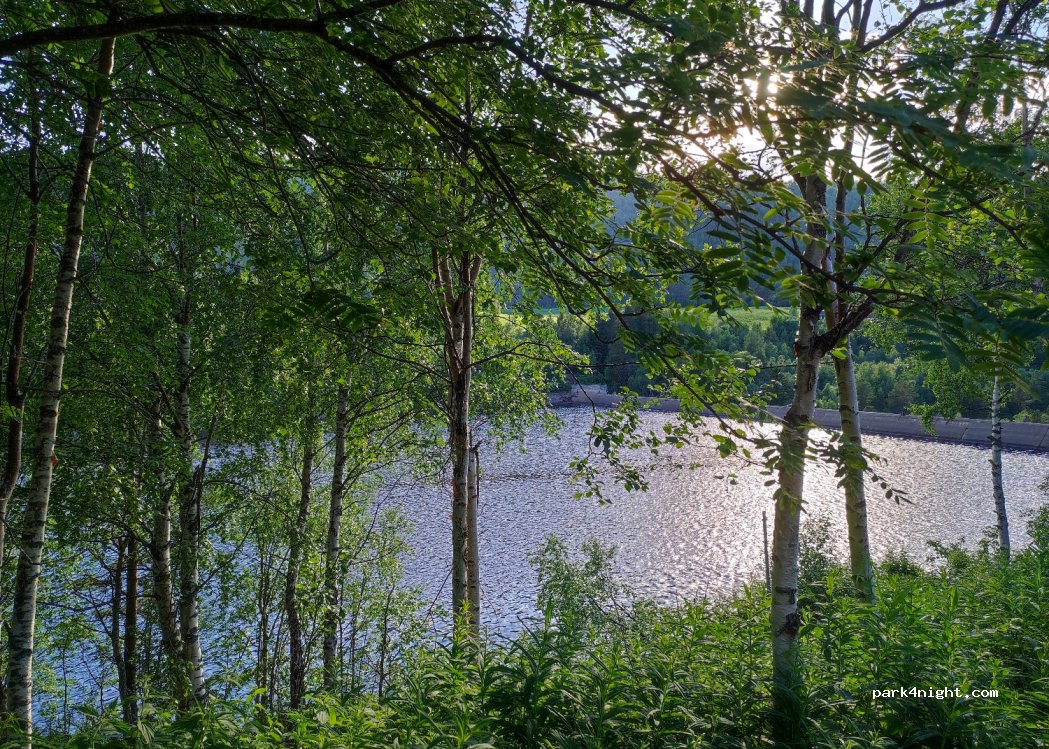 (2512) Tynset - Nord-Østerdalsveien — foto