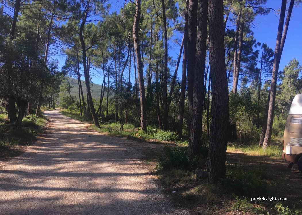 (2350) Pedrógão - R do Arrife do Raro — foto