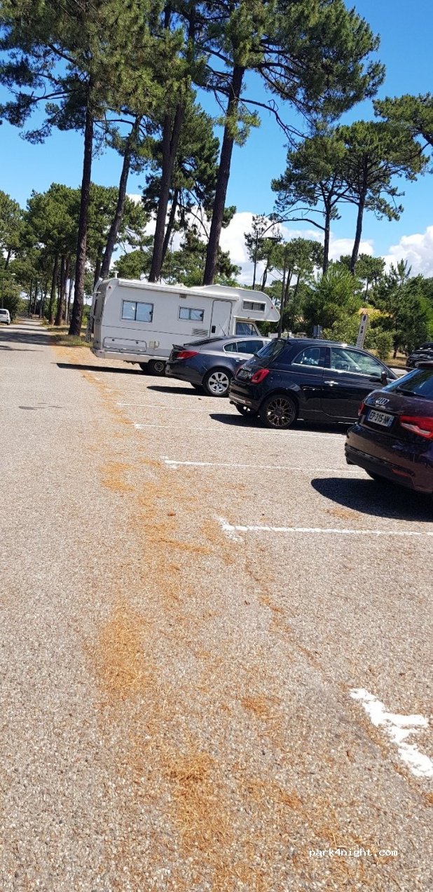 (33950) Lège-Cap-Ferret - 2 Allée Jeanty d'Armagnac — foto 2