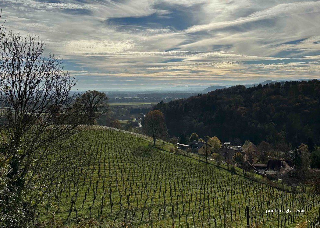 Lenhard Wine.Truffle.Living — foto 3